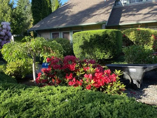 Velasquez landscaping Logo