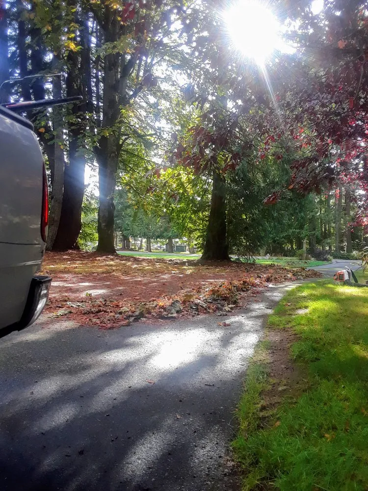 Affordable lawn care service for residential properties across Tacoma, WA - Velasquez Lanscaping