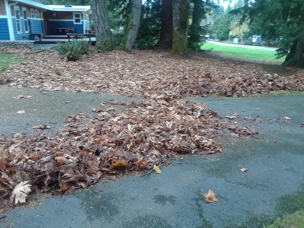 Expert yard maintenance in Tacoma, WA by Velasquez Lanscaping