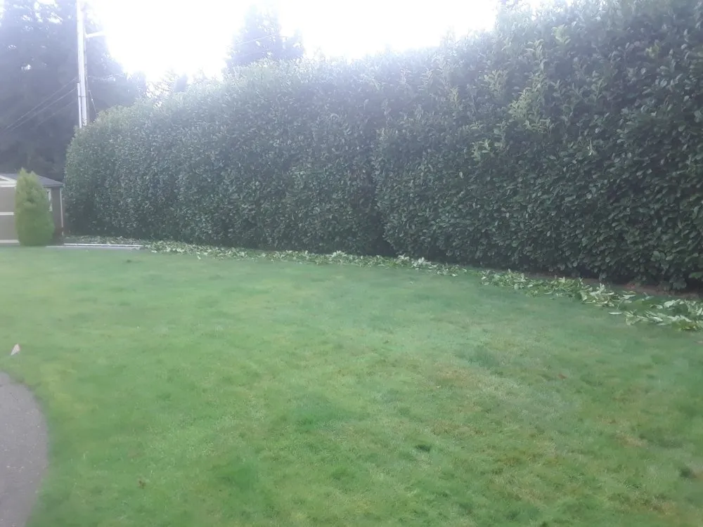 Top-rated lawn mowing service in Tacoma, WA by Velasquez Lanscaping