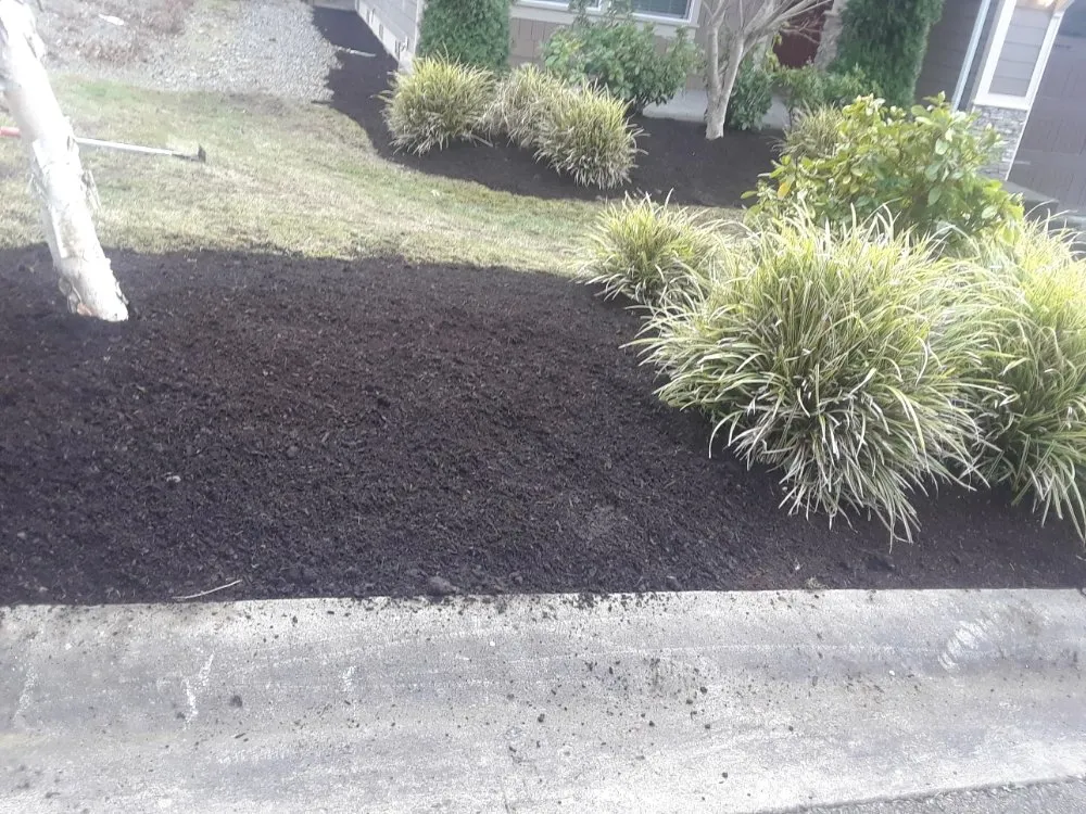 Affordable yard maintenance in Tacoma, WA by Velasquez Lanscaping