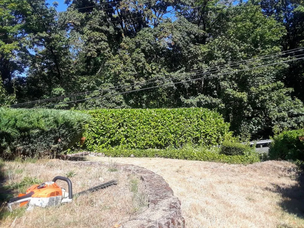 Professional outdoor landscaping in Tacoma, WA by Velasquez Lanscaping