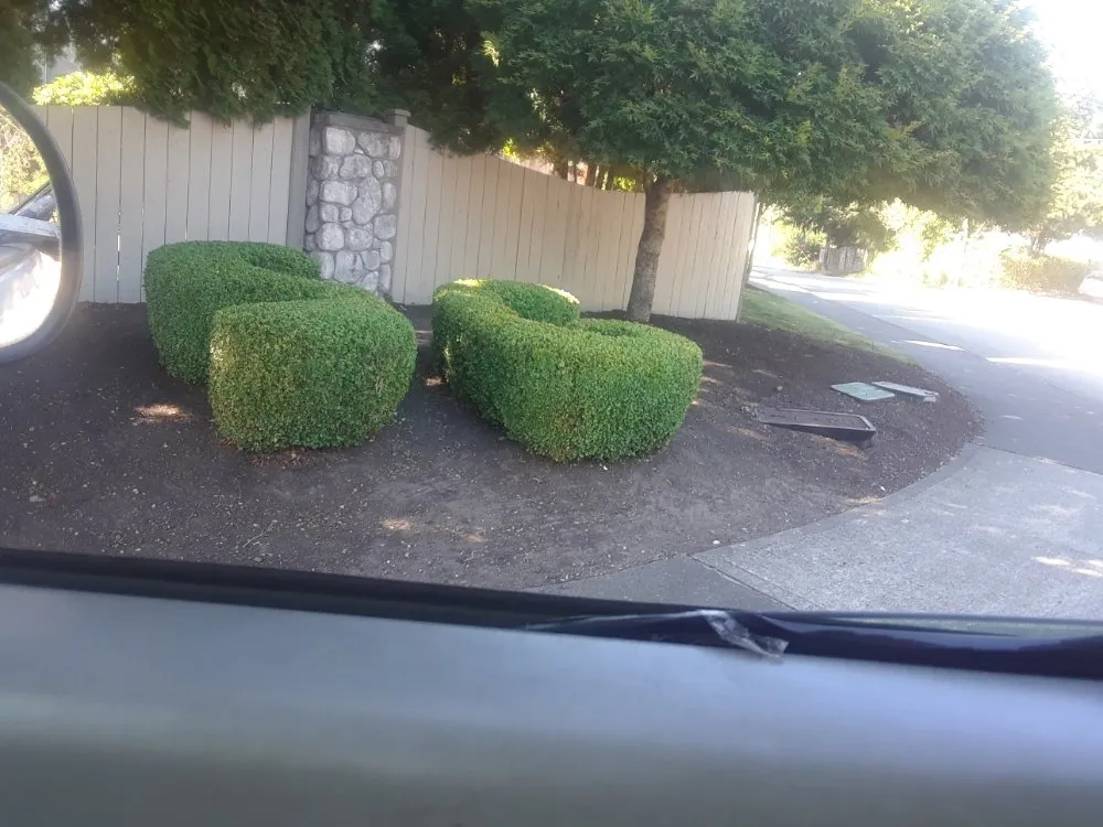 Expert landscape design in Tacoma, WA by Velasquez Lanscaping