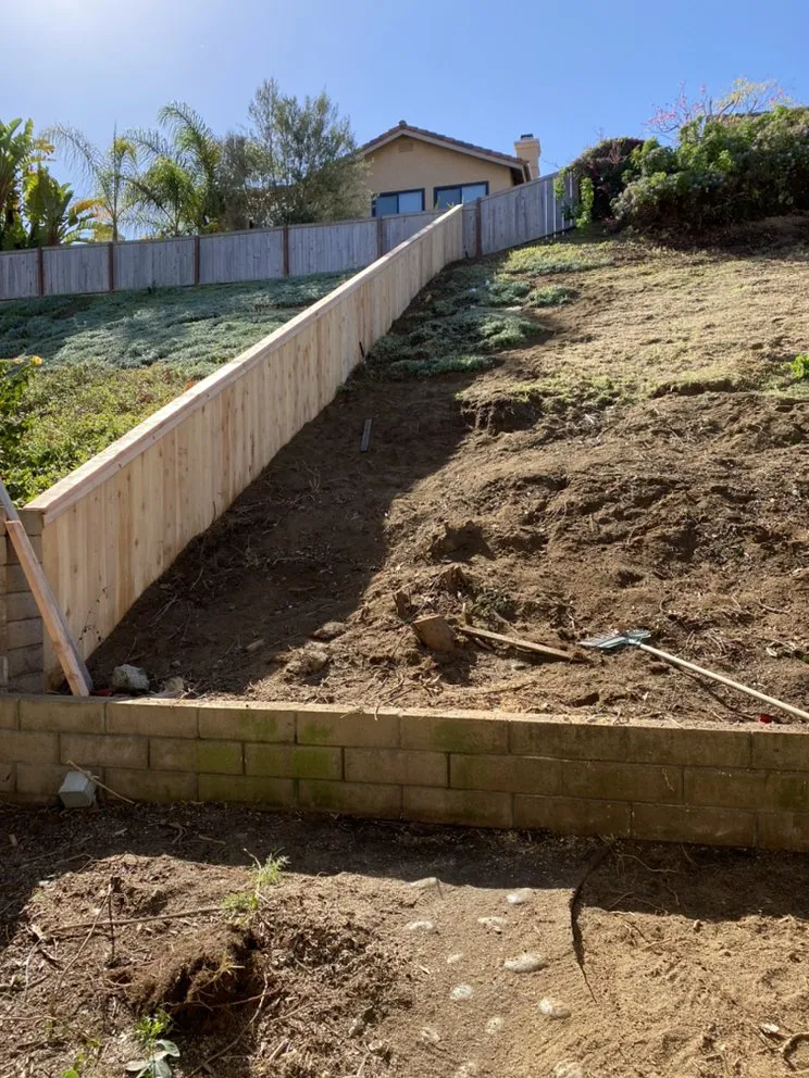 Professional yard cleanup service near you in Encinitas, CA by Velasquez Tree Services