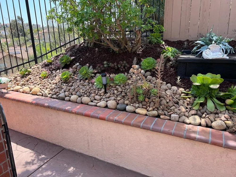 Affordable lawn care service for year-round maintenance in Encinitas, CA by Velasquez Tree Services