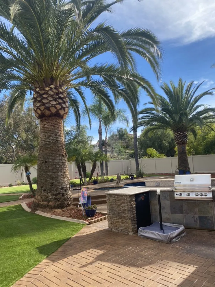 Reliable landscape design for outdoor upgrades in Encinitas, CA by Velasquez Tree Services