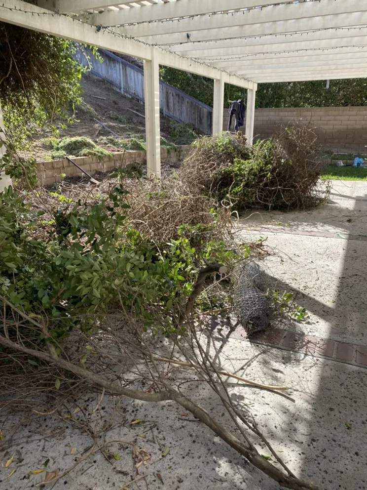 Affordable lawn care service with custom design in Encinitas, CA by Velasquez Tree Services