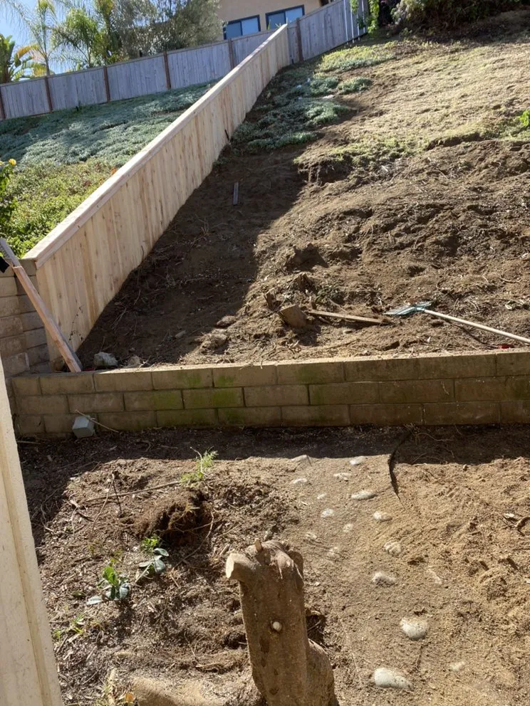 Expert yard cleanup service with custom design in Encinitas, CA by Velasquez Tree Services