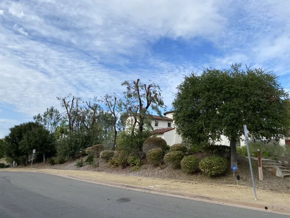 Professional garden landscaping experts serving Encinitas, CA - Velasquez Tree Services