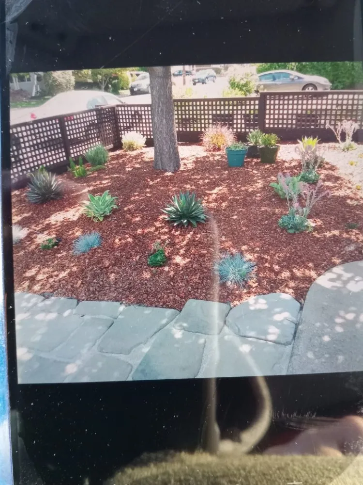 Top-rated landscape design in Hillsborough, CA - Velazquez Gardening Service