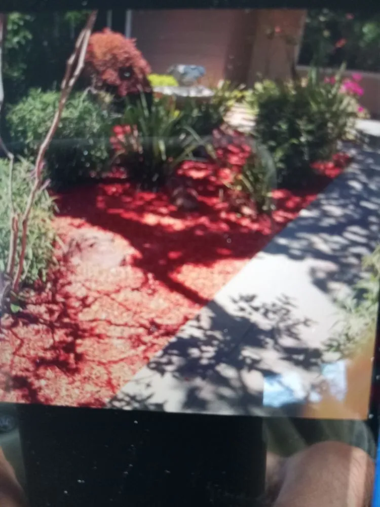 Professional landscape design in Hillsborough, CA - Velazquez Gardening Service