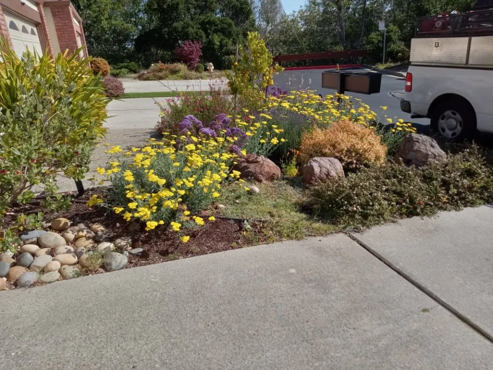 Local landscaping services in Hillsborough, CA - Velazquez Gardening Service