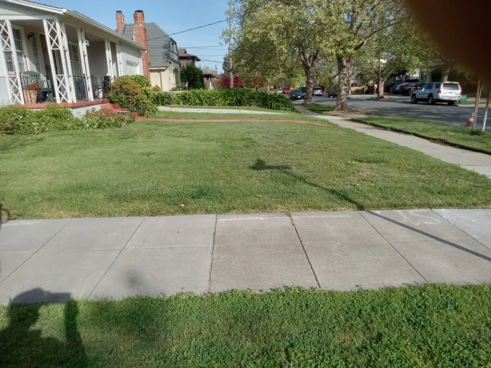 Affordable landscape installation near you across Hillsborough, CA - Velazquez Gardening Service