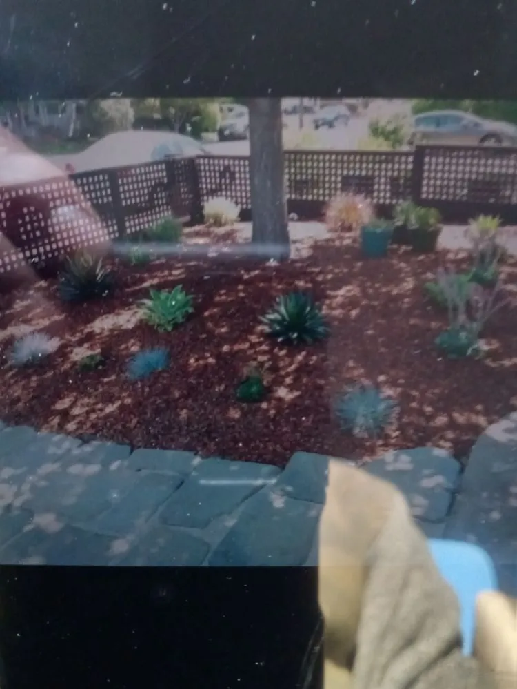 Expert yard cleanup service for year-round maintenance in Hillsborough, CA by Velazquez Gardening Service