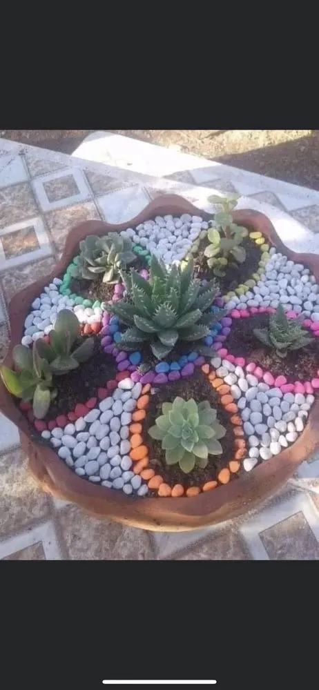 Custom lawn care service in Encinitas, CA - Velazquez Landscape & Construction