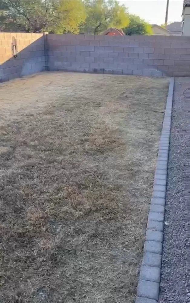 Expert landscape installation for outdoor upgrades in Tucson, AZ by Velazquez Landscape Designs