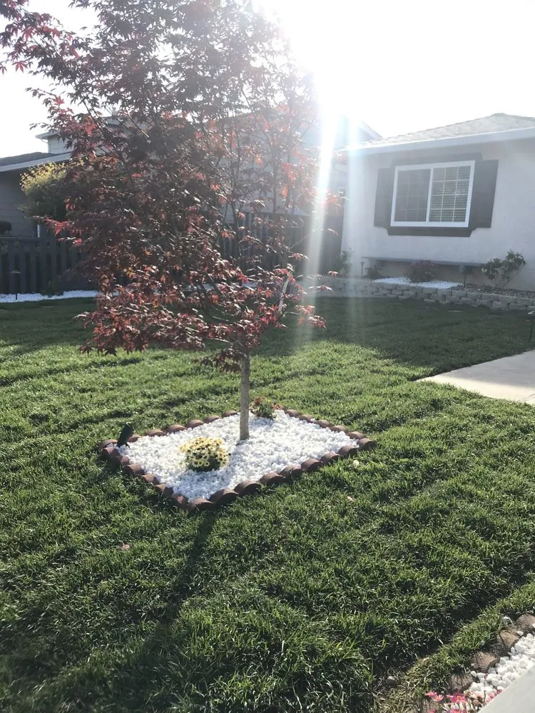 Professional lawn care service in San Jose, CA by Velazquez Landscaping