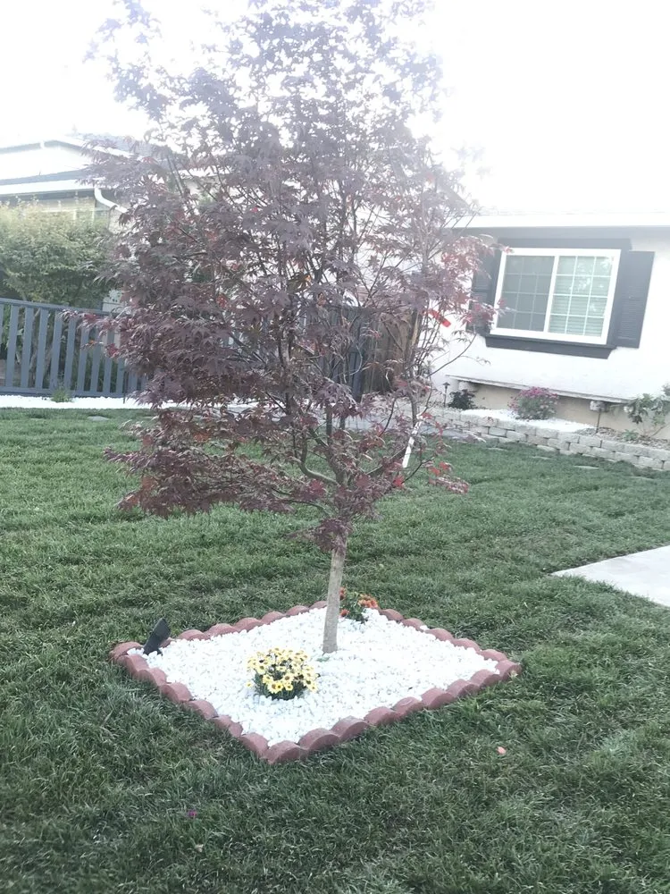 Top-rated landscaping services for outdoor upgrades across San Jose, CA - Velazquez Landscaping