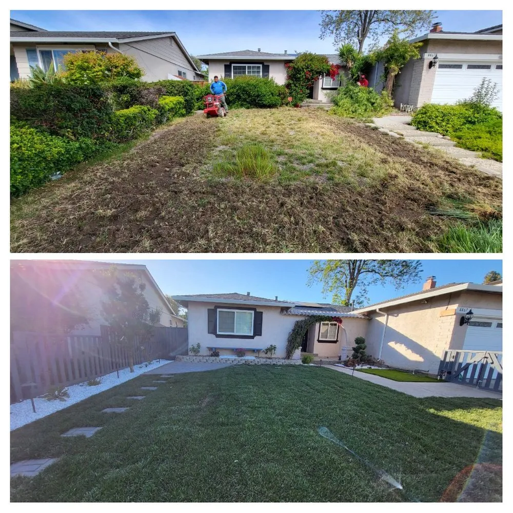 Custom yard maintenance in San Jose, CA by Velazquez Landscaping