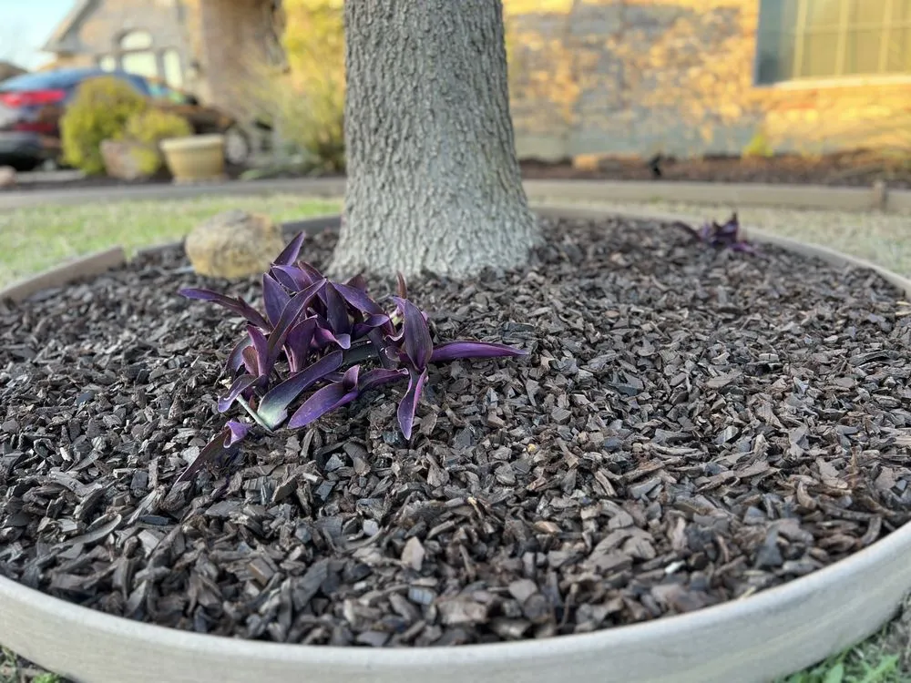 Affordable lawn care service experts serving Midlothian, TX - Velazquez Lawn & Landscaping