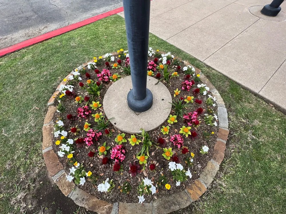 Local landscaping services near you in Midlothian, TX by Velazquez Lawn & Landscaping