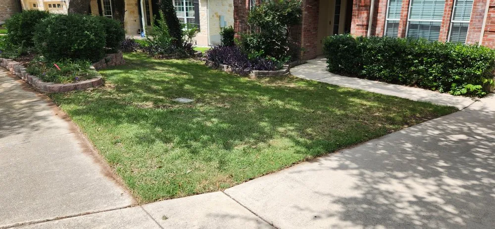 Custom lawn mowing service in Selma, TX - Velazquez Lawn Service
