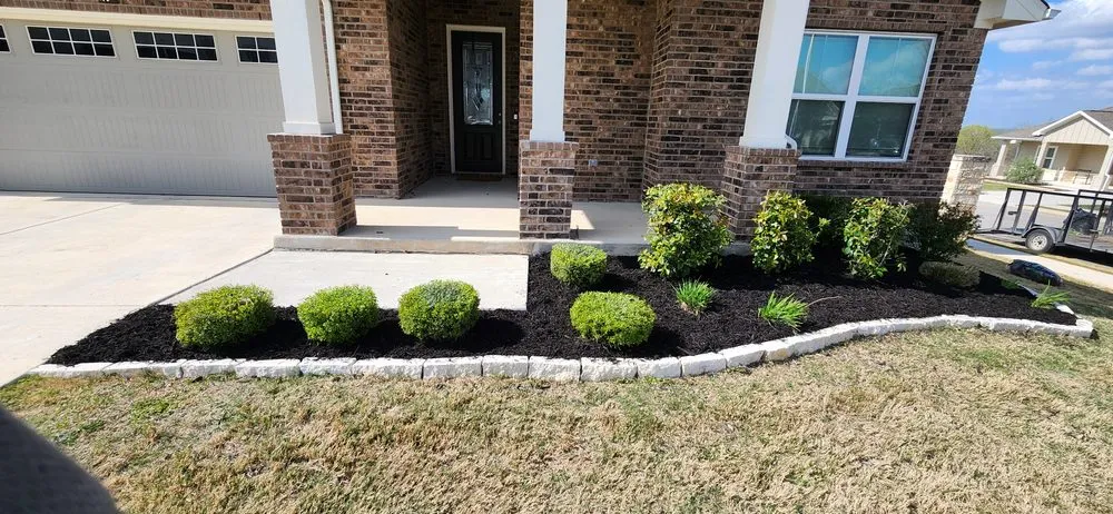 Professional yard cleanup service in Selma, TX by Velazquez Lawn Service