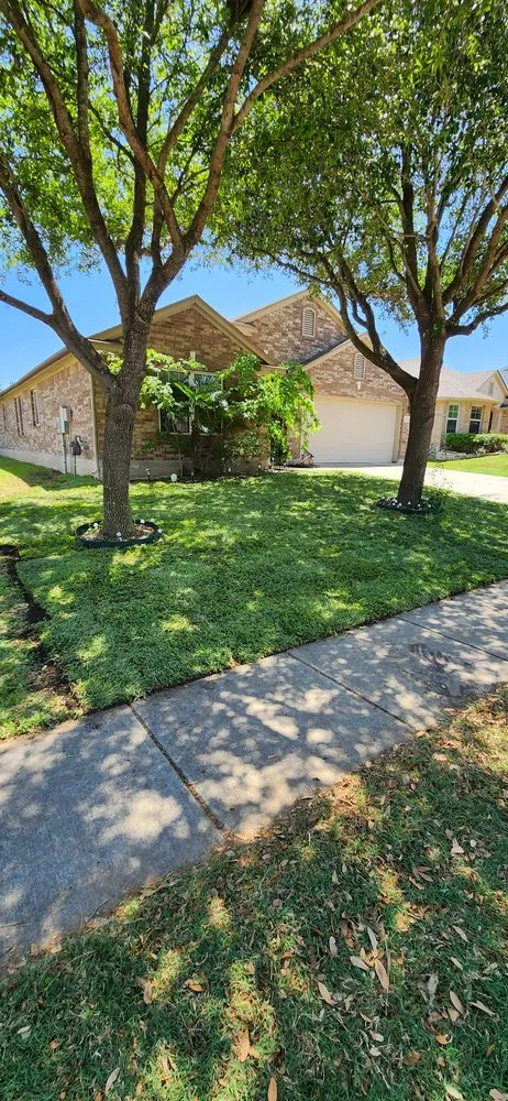 Professional yard maintenance in Selma, TX by Velazquez Lawn Service