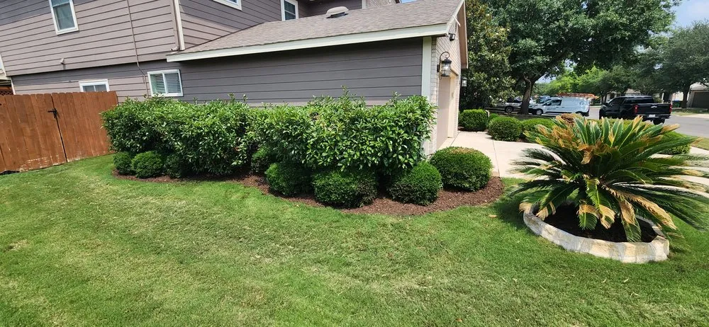 Trusted yard cleanup service in Selma, TX - Velazquez Lawn Service