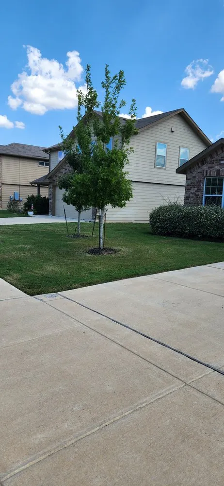 Local lawn mowing service experts serving Selma, TX - Velazquez Lawn Service