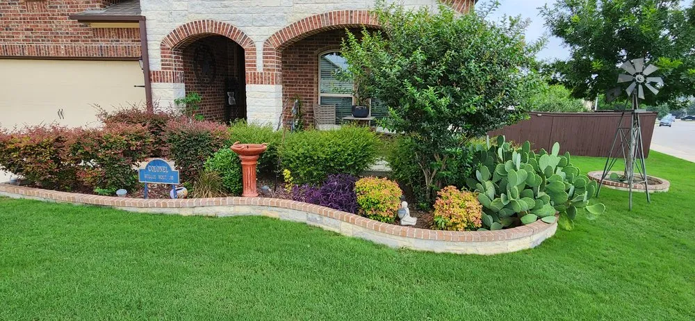 Affordable landscaping services for outdoor upgrades across Selma, TX - Velazquez Lawn Service