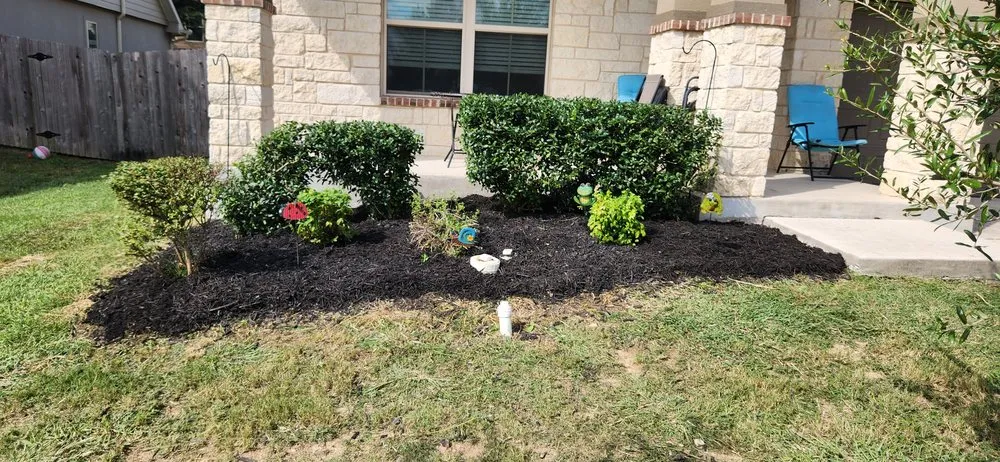 Trusted landscaping services in Selma, TX - Velazquez Lawn Service