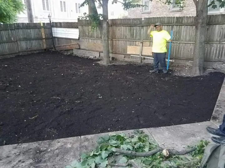 Top-rated yard cleanup service experts serving Waukegan, IL - Velazquez Nature Landscaping