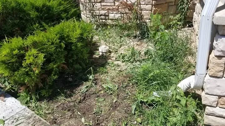 Reliable outdoor landscaping in Waukegan, IL - Velazquez Nature Landscaping