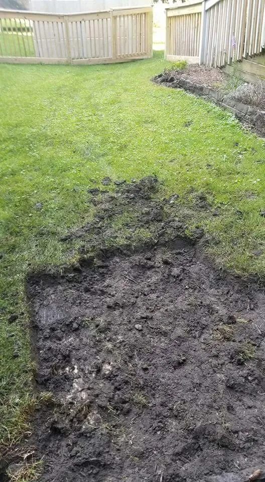 Local yard maintenance experts serving Waukegan, IL - Velazquez Nature Landscaping