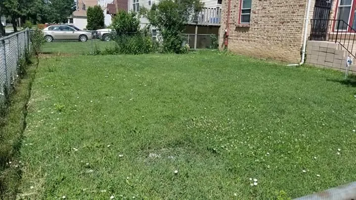 Professional landscape design in Waukegan, IL - Velazquez Nature Landscaping