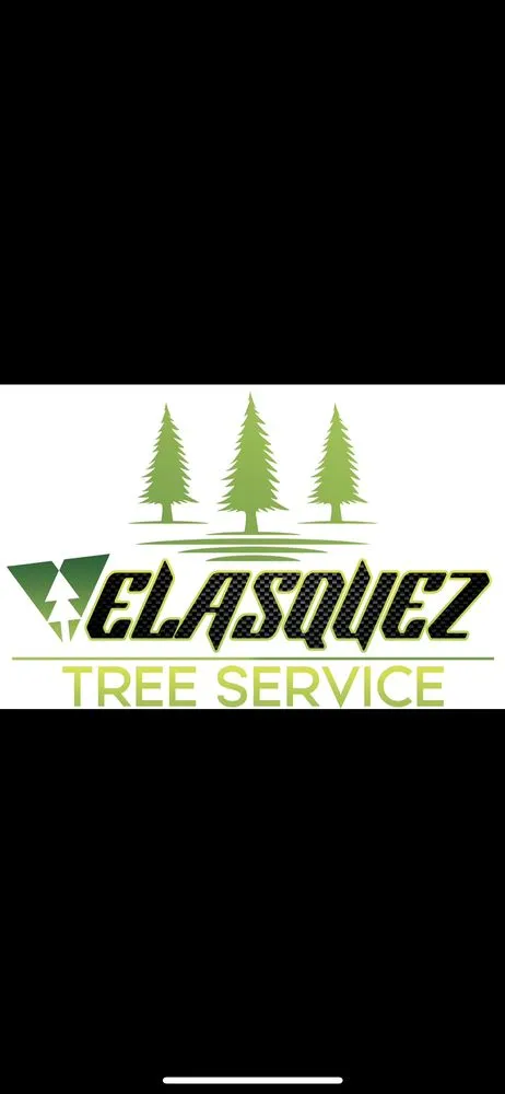 Local residential landscaping in Aurora, IL by Velazquez Tree Service