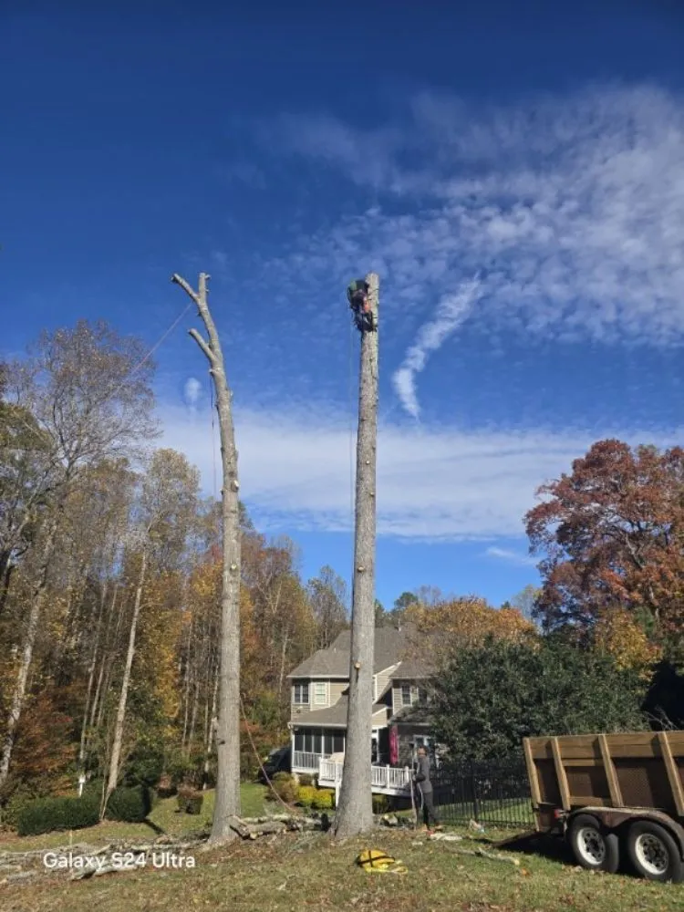 Affordable yard maintenance experts serving Culpeper, VA - Velazquez Tree Service