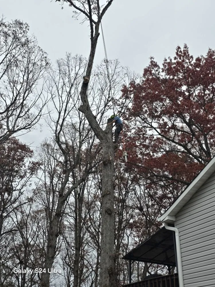 Reliable landscape installation in Culpeper, VA by Velazquez Tree Service