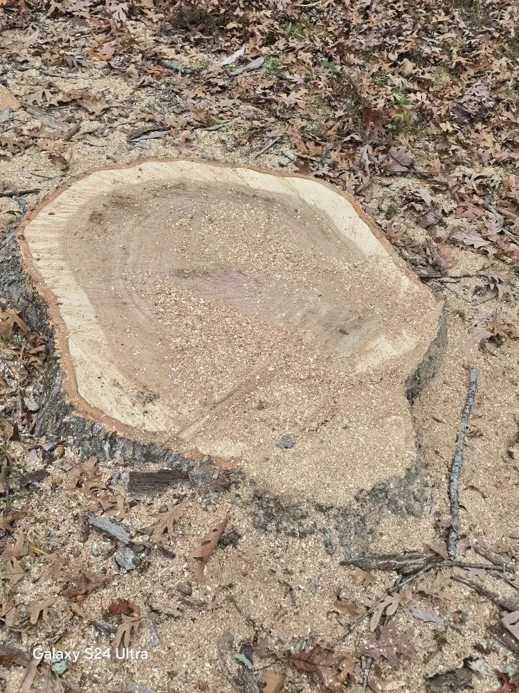 Affordable yard maintenance in Culpeper, VA - Velazquez Tree Service