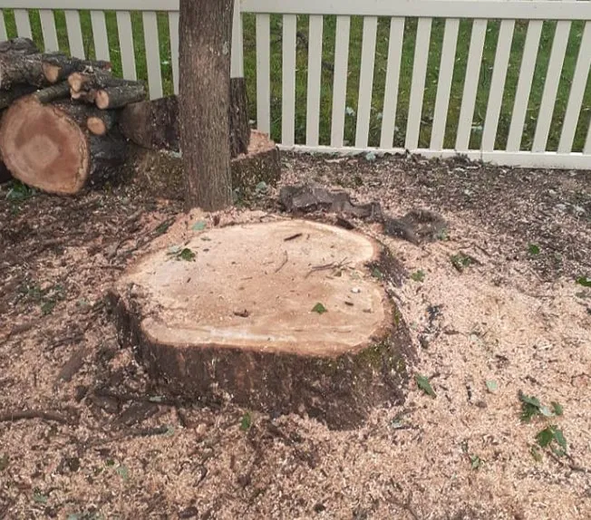 Local residential landscaping in Culpeper, VA by Velazquez Tree Service