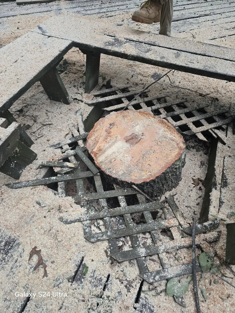 Expert yard maintenance in Culpeper, VA - Velazquez Tree Service