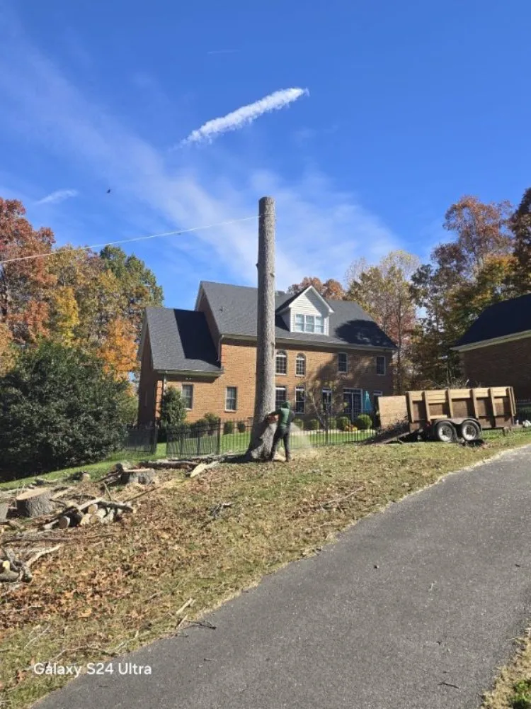 Top-rated landscape installation experts serving Culpeper, VA - Velazquez Tree Service