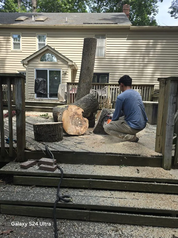 Reliable landscape installation in Culpeper, VA by Velazquez Tree Service