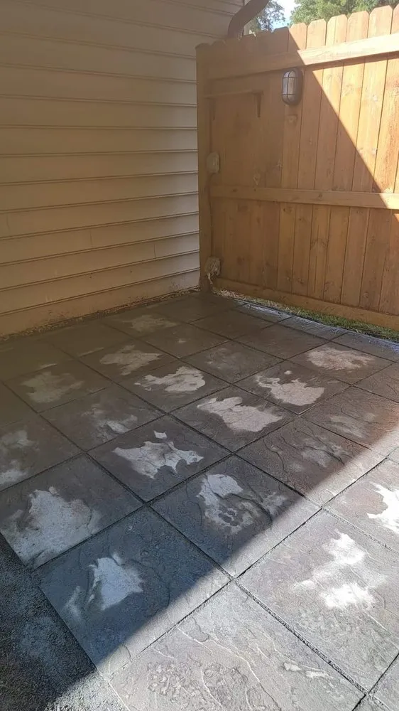 Professional landscape design in Culpeper, VA - Velazquez Tree Service