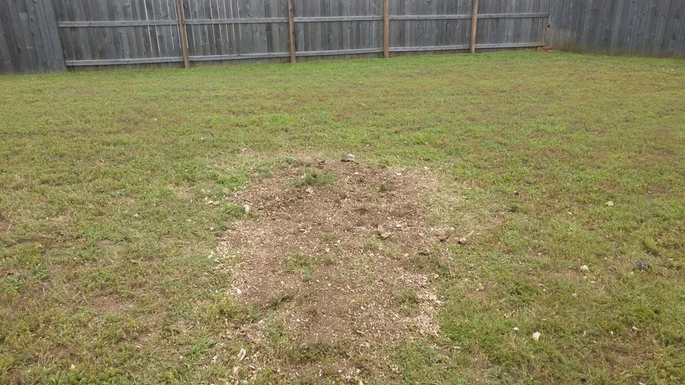 Custom outdoor landscaping for year-round maintenance across Bartlesville, OK - Veld Bros Lawn & Stump