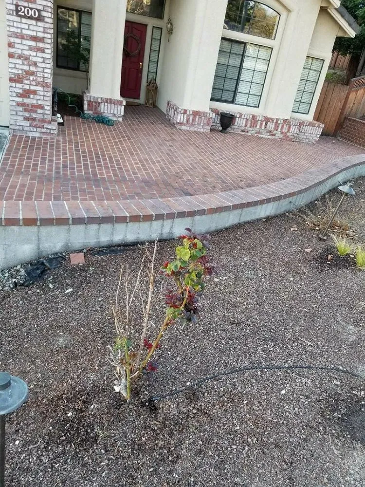 Affordable lawn care service for homes in Oakley, CA by Velez Landscaping