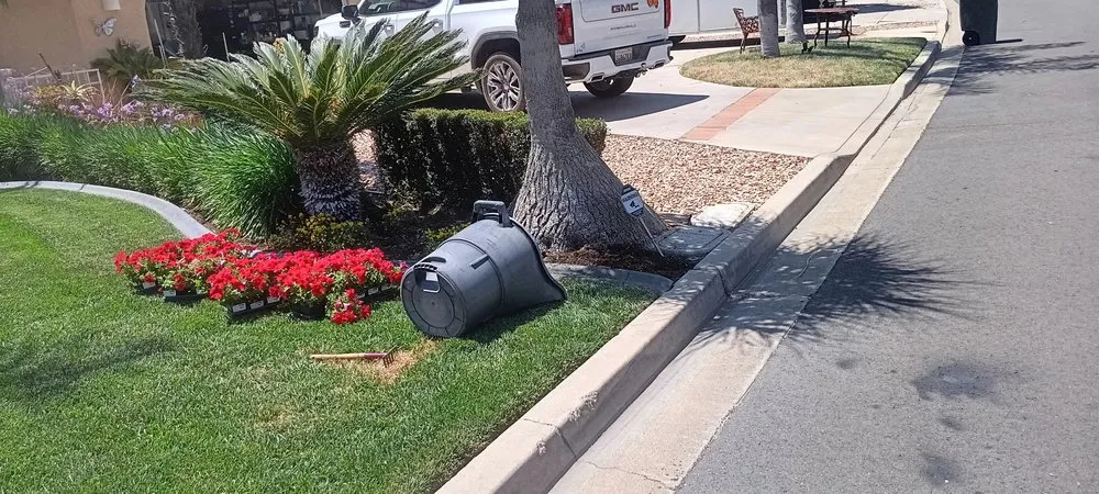 Trusted outdoor landscaping in Temecula, CA by Veleza Terrain & Landscaping