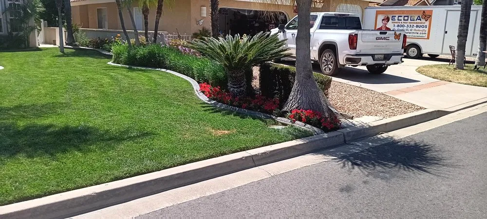 Reliable outdoor landscaping in Temecula, CA by Veleza Terrain & Landscaping