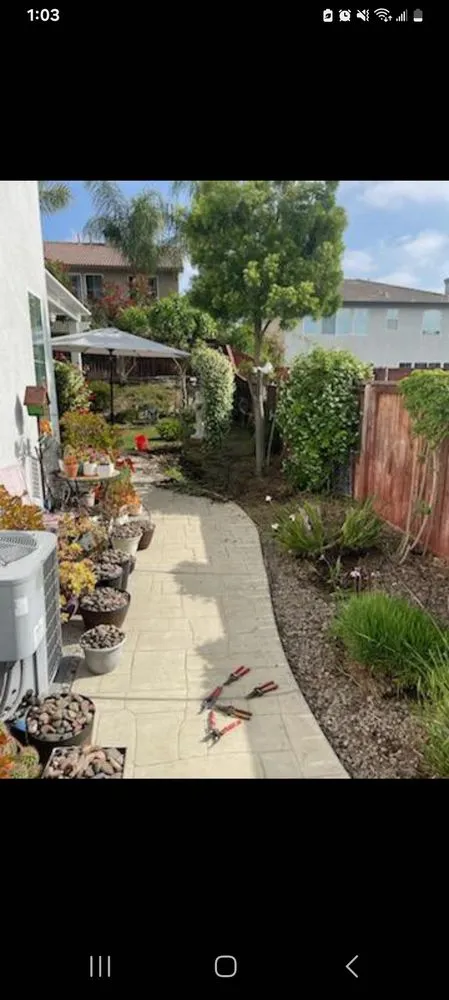 Top-rated landscaping services experts serving Temecula, CA - Veleza Terrain & Landscaping